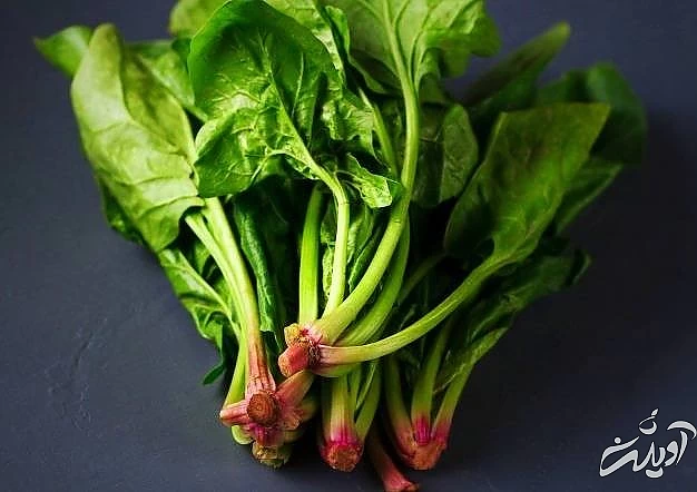 اسفناج از سبزی های گرم مزاج اسفناج